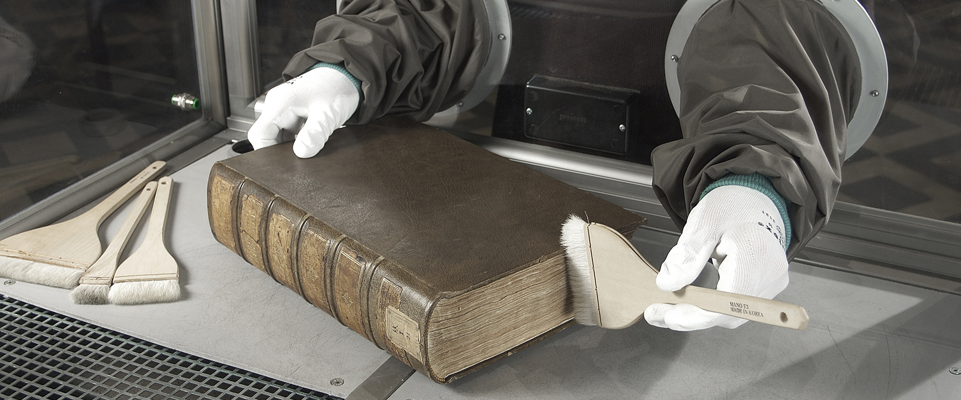 Spirabilia manual conservation work Spirabilia manual conservation work